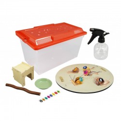 La maison des escargots