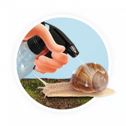 La maison des escargots