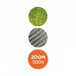 Microscope Loupe Vidéo