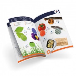 Microscope Loupe Vidéo