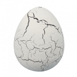 Dinos Oeufs Magiques