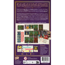 Mini Rogue - Le conseil