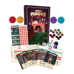 Mini Rogue - Le conseil