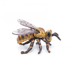 Abeille