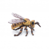 Abeille
