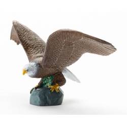Aigle