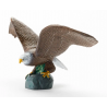 Aigle