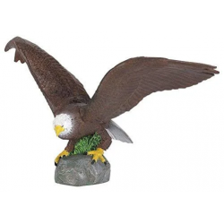 Aigle