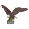 Aigle