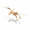 Dino 3d