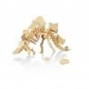 Dino 3d