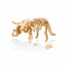 Dino 3d