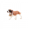 Saint-Bernard