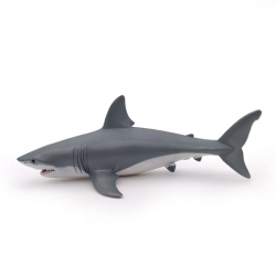 Requin blanc
