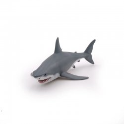 Requin blanc