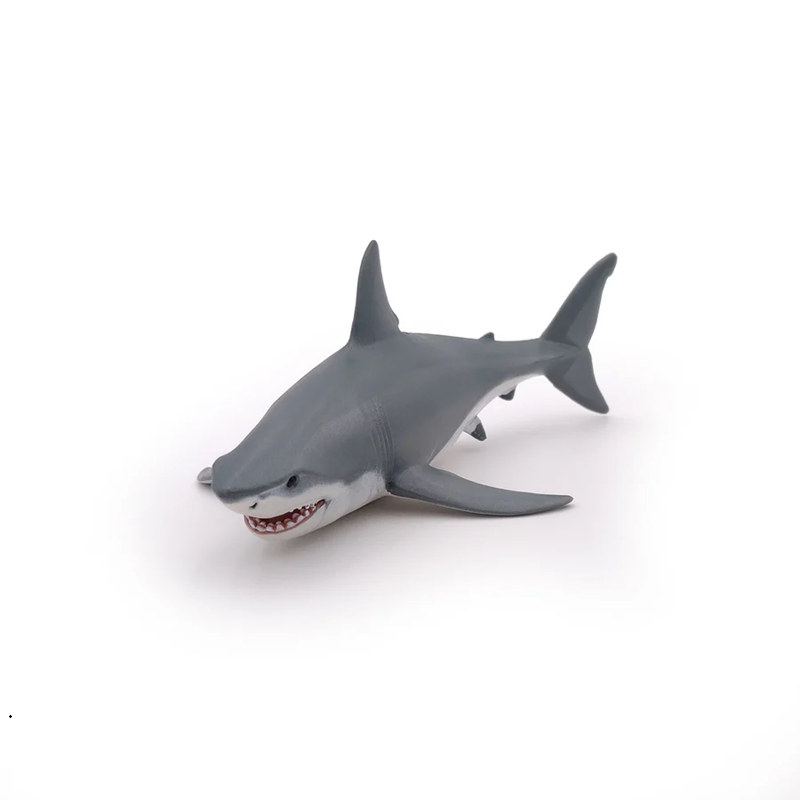 Requin blanc