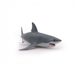 Requin blanc