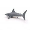 Requin blanc