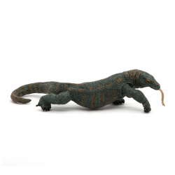 Dragon de Komodo