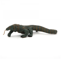 Dragon de Komodo