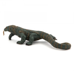 Dragon de Komodo