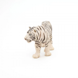 Tigre Blanc
