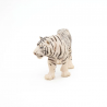 Tigre Blanc