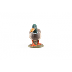 Canard Colvert