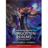 Donjons & Dragons - Aventures à Faerûn