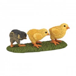 Poussins