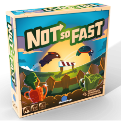Not So fast