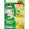 Je découvre les dinosaures