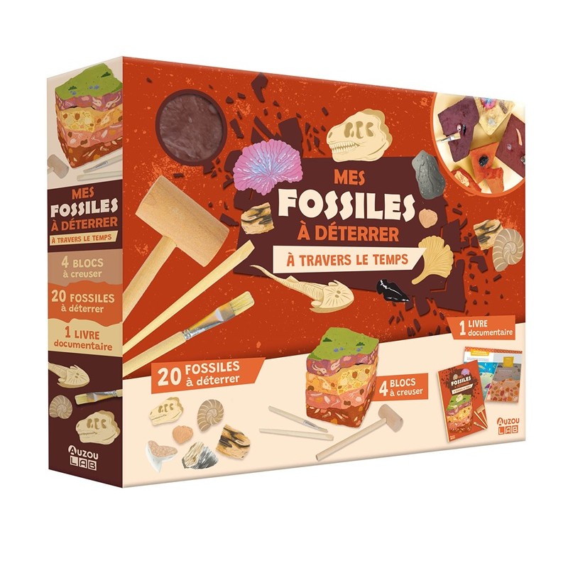 Mes fossiles à déterrer