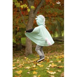 Cape Reversible Dragon Licorne