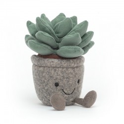 Peluche Silly Succulent...