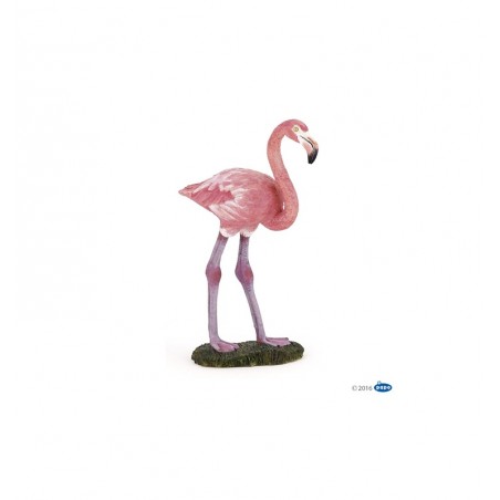 Flamant rose