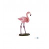 Flamant rose