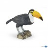 Toucan