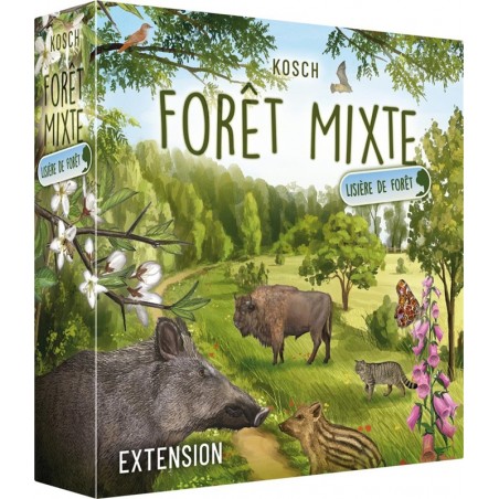 Forêt Mixte - Lisiere de Forêt