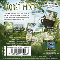 Forêt Mixte : Lisière de Forêt