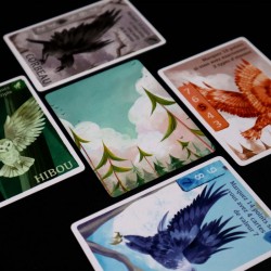 Les maitres des cimes