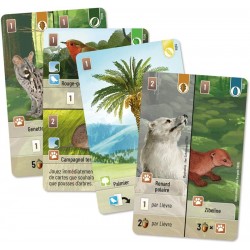 Forêt Mixte - Exploration