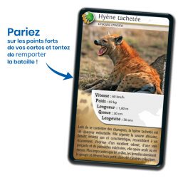 Défis Nature - Carnivores