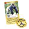 Défis Nature Protect - Pack de démarrage Gorille des plaines de l'Ouest