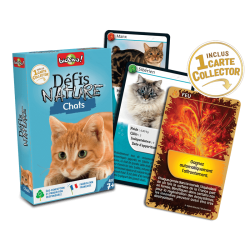 Défis Nature - Chats