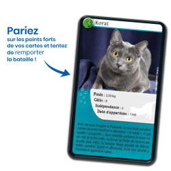 Défis Nature - Chats