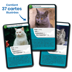 Défis Nature - Chats