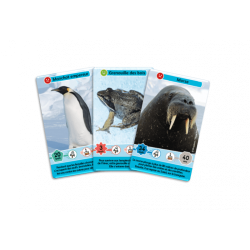 Défis Nature Junior - Royaumes du froid