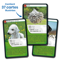 Défis Nature - Chiens