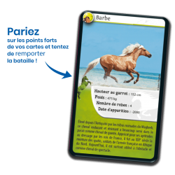 Défis Nature - Chevaux